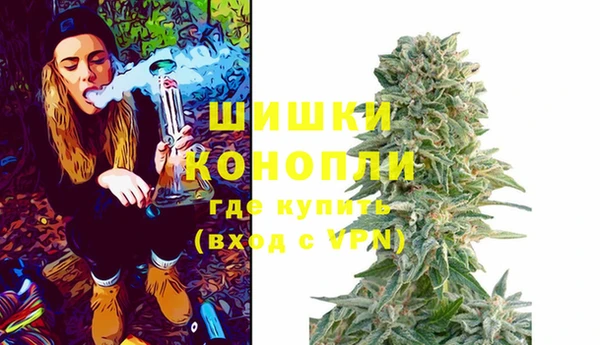 прущие грибы Белоозёрский