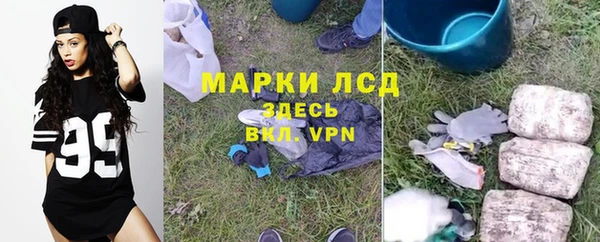 прущие грибы Белоозёрский
