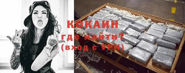дживик Белокуриха